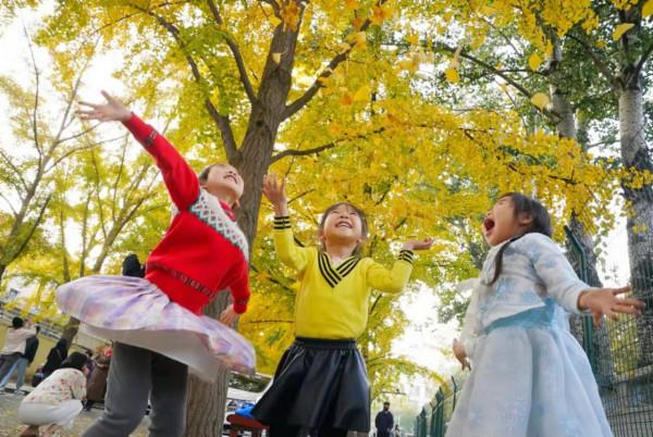 看！這裡美成了童話