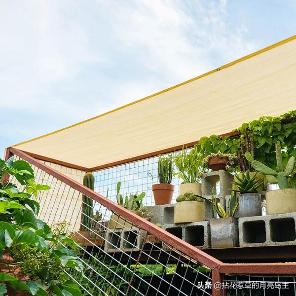 關於遮陰網,我把我知道的全告訴你 關於遮陰網,我把我知道的全告訴你