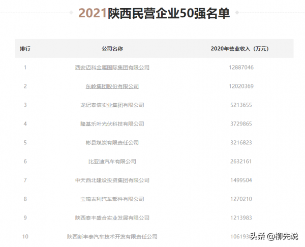 陝西民營冠軍產生：領跑東嶺、比亞迪汽車，年營收達到1288億元