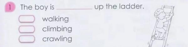 雙減後娃的英語怎麼辦？8000字原版英文練習冊的入手指南送給你