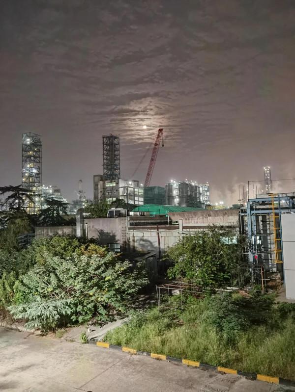 身邊隨處有美景