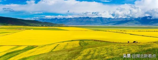 青海，你可以去100次