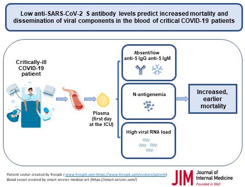 什麼樣的抗體反應水平能讓COVID-19患者降低死亡風險? 什麼樣的抗體反應水平能讓COVID-19患者降低死亡風險?