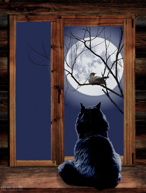 散文，寒夜無寐意，西窗曉月明