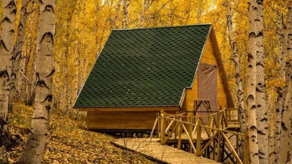 一處白樺林，留下獨具自然的美色，舌尖美食味道