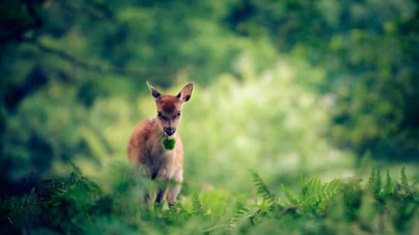 朋友遍地跑，跟誰都玩得來，出門就能交到幾個朋友的星座