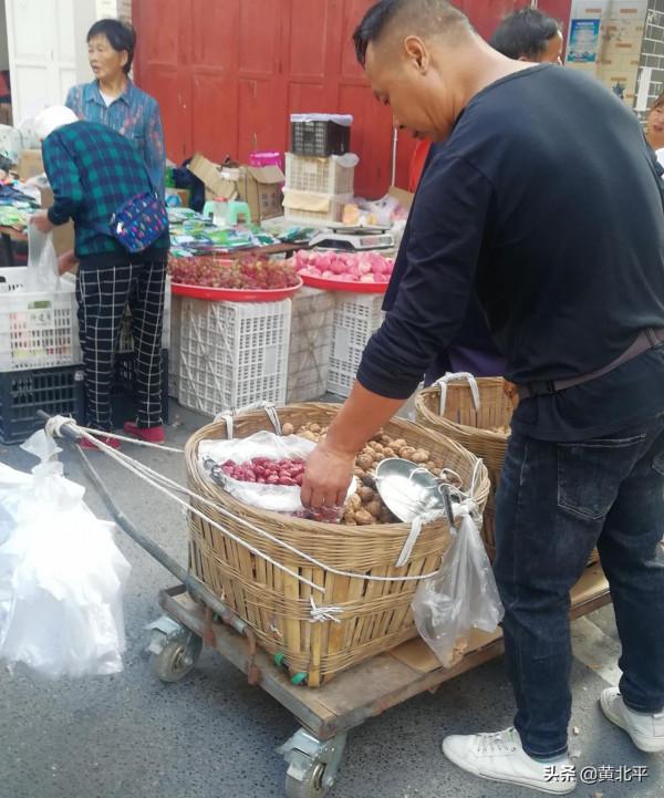 貴州省遵義市習水縣寨壩鎮 貴州省遵義市習水縣寨壩鎮