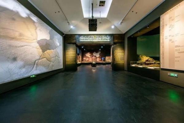 河南農民挖到&OpenCurlyDoubleQuote;兩顆蔬菜&rdquo;，專家花800元買下，如今成為鎮館之寶