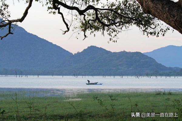斯里蘭卡之旅&mdash;&mdash;阿瑪雅湖晨獵