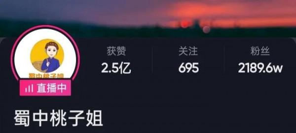 34歲農村主婦，靠做飯收穫2000萬粉絲，月入數百萬，她如何做到的