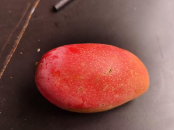 慢節奏的外普拉:歸隱田園,聆聽自然 慢節奏的外普拉:歸隱田園,聆聽自然