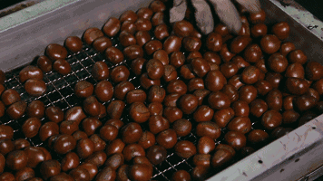 10個板栗熱量頂1碗飯 吃太多可能更易長胖