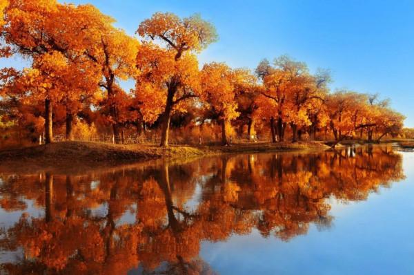 “大漠孤煙直,長河落日圓”,去看看王維筆下沙漠中的那個居延海 “大漠孤煙直,長河落日圓”,去看看王維筆下沙漠中的那個居延海