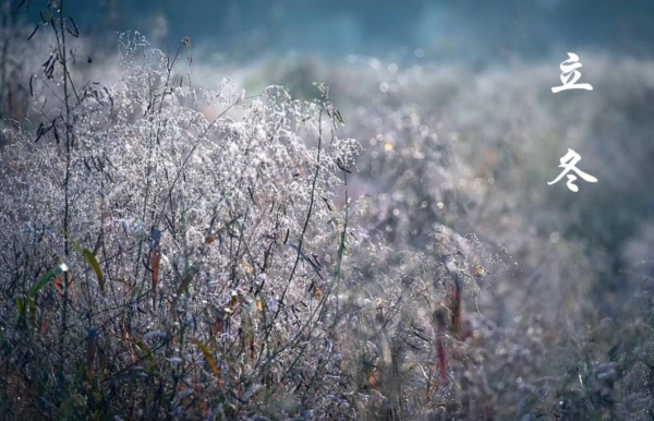 立冬補冬，5種傳統美食不能少，溫補不上火，增強抵抗力安全入冬