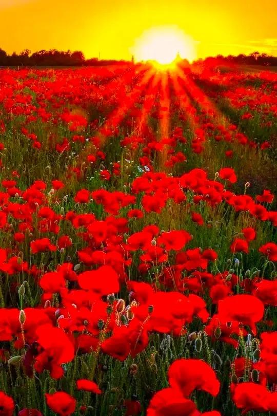 分享：美景如畫，驚豔絕倫，仙境一般的自然環境，如此優美迷人