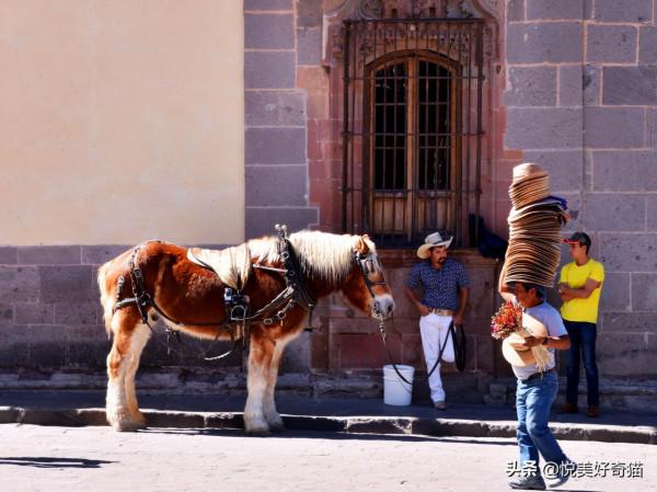 墨西哥旅行記11：“墨西哥心臟”原來是顆藝術之心