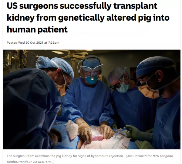 全球首例！美國57歲男子成功移植轉基因「豬心」，異種移植創奇蹟