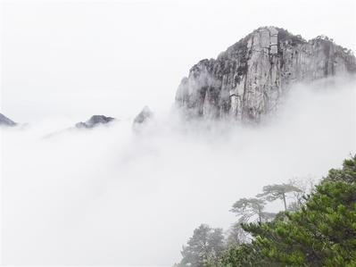 步步“驚心”羊獅慕 步步“驚心”羊獅慕
