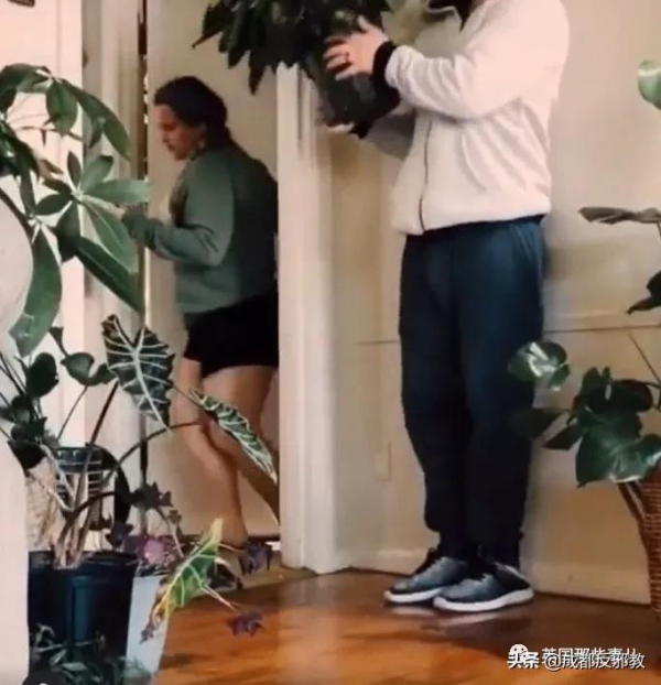 被疫情困太久，歐美年輕人開始瘋狂囤積綠植，借錢都要買？