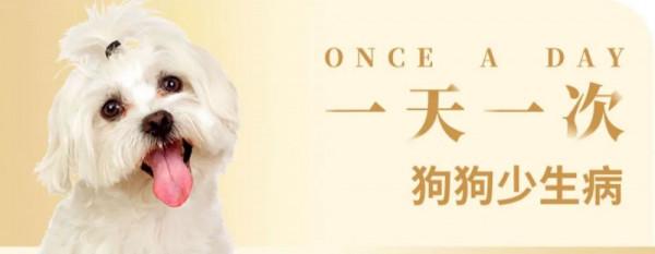 毛孩子也過“雙11”啦!這麼買能幫鏟屎官省下一個月伙食費 毛孩子也過“雙11”啦!這麼買能幫鏟屎官省下一個月伙食費