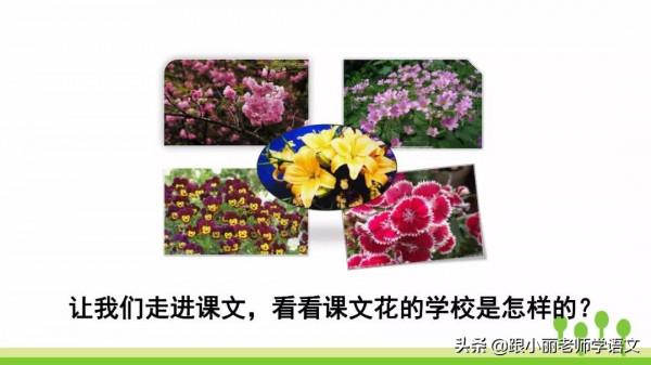 趕緊替孩子儲存，複習一定用得上，三上《花的學校》知識點梳理