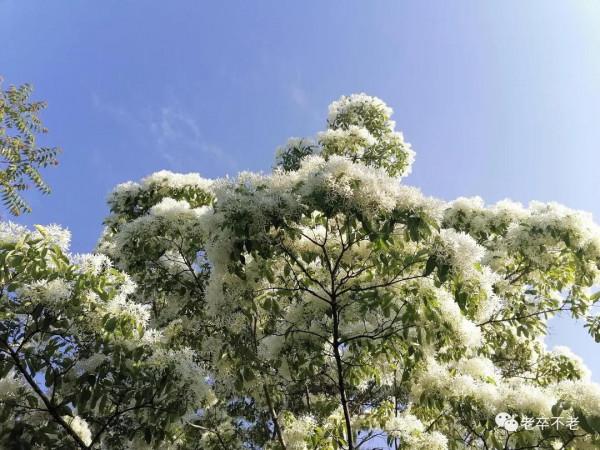 千佛山遊記 千佛山遊記