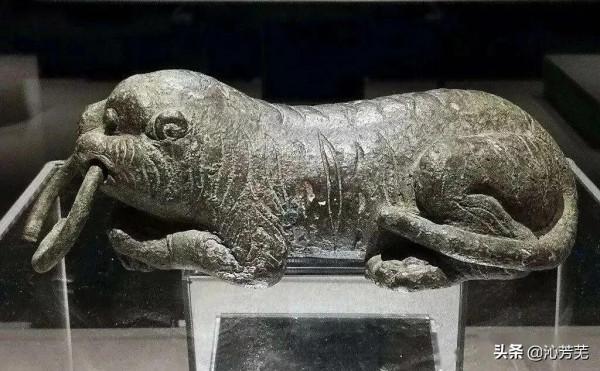 虎之五德，你知道嗎