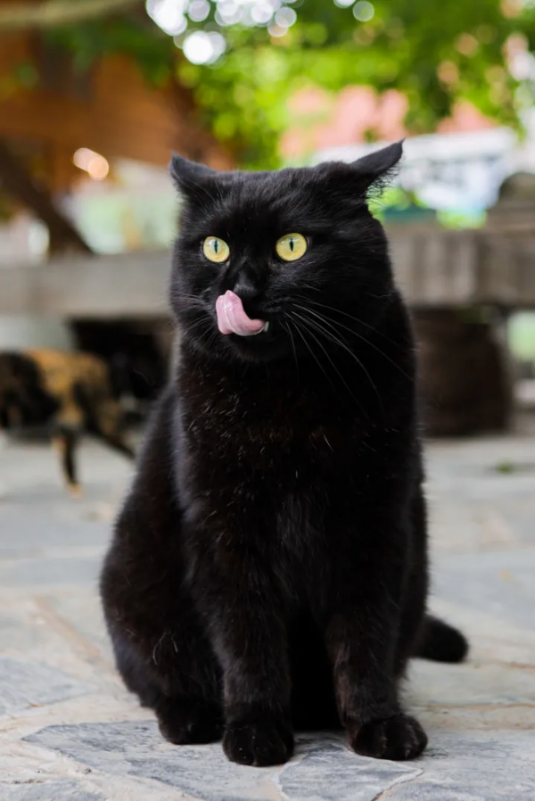 天團連連看，你的眼睛還好嗎？