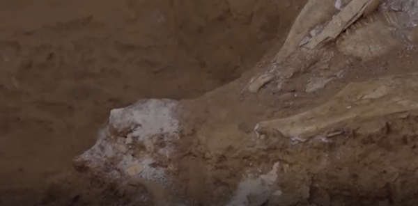 鶴壁辛村大墓重新發掘,墓葬疑雲重重,喪葬習俗緣何";穿越";時空? 鶴壁辛村大墓重新發掘,墓葬疑雲重重,喪葬習俗緣何";穿越";時空?