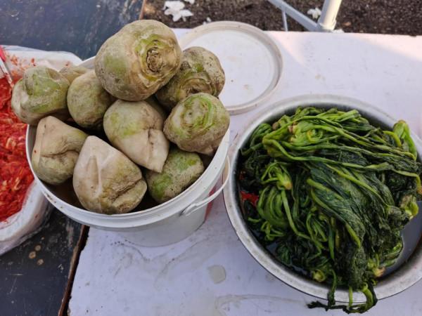 東北大集都有點啥，快跟我一起逛逛