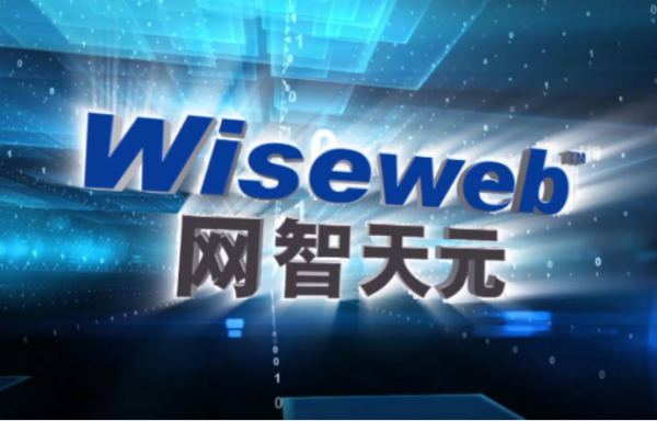 網智天元王愷是女高管今年50歲 曾違規用募集資金1000萬買股票