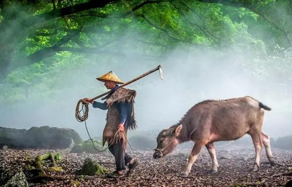 林慮山一一千瀑溝記
