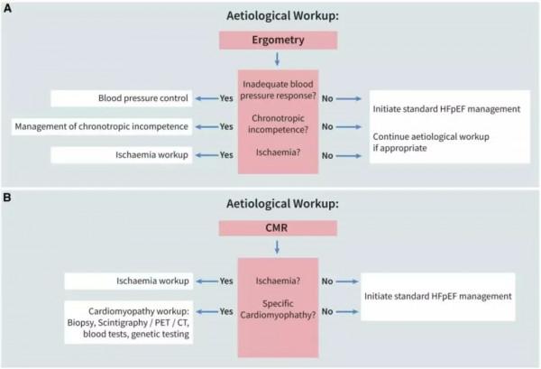王江:射血分數保留的心衰,希望在前方 王江:射血分數保留的心衰,希望在前方