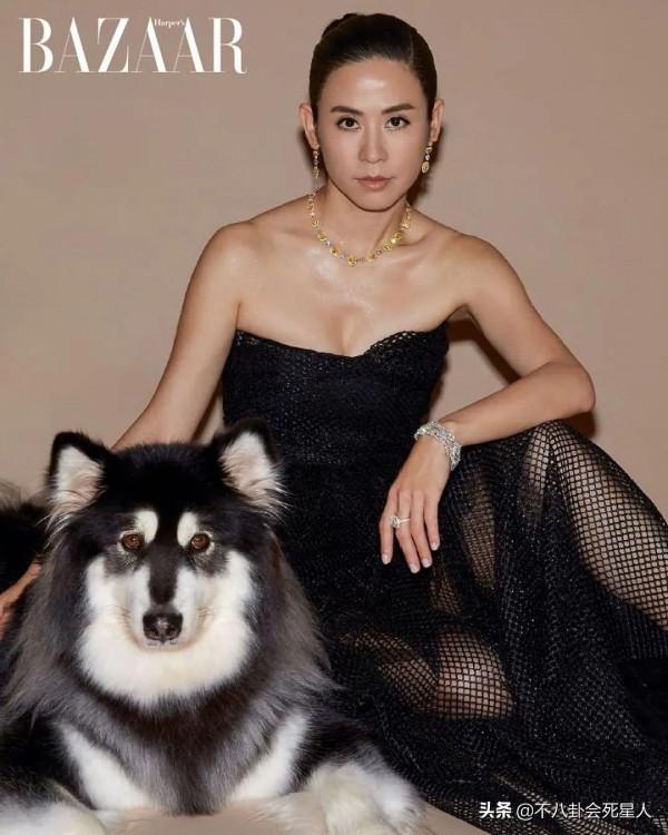 11位被誇美，卻讓人get不到的TVB女星，是誰的審美有問題？