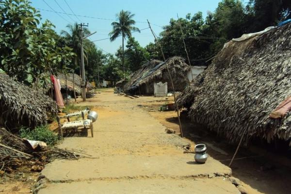 同是人口農業大國,為何中國滿世界買糧,印度卻成糧食出口大國? 同是人口農業大國,為何中國滿世界買糧,印度卻成糧食出口大國?