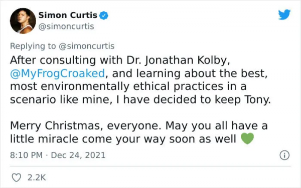 小哥在沙拉里發現了一隻小青蛙後，在網上直播起了養蛙生活