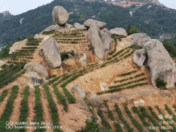 朋友圈2021年第31期