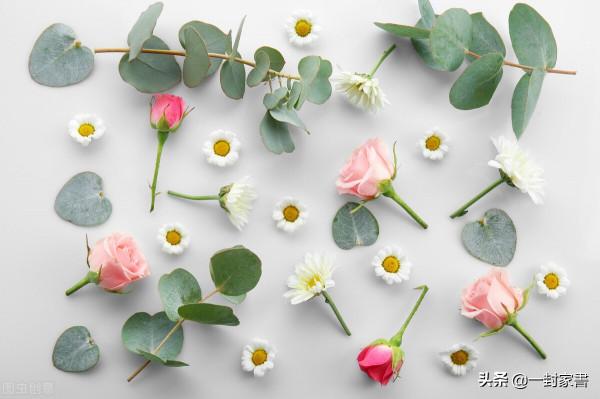 中年喪偶選擇獨處的女人為什麼大多長壽，3個75歲的女人說了實話