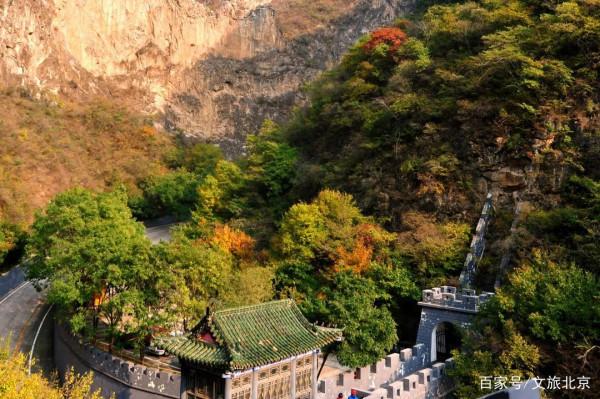 暢遊京郊｜秋高氣爽雁南飛，京西一遊觀聖蓮