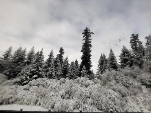 九寨溝的第一場雪 晶瑩剔透 恍若進入了童話世界