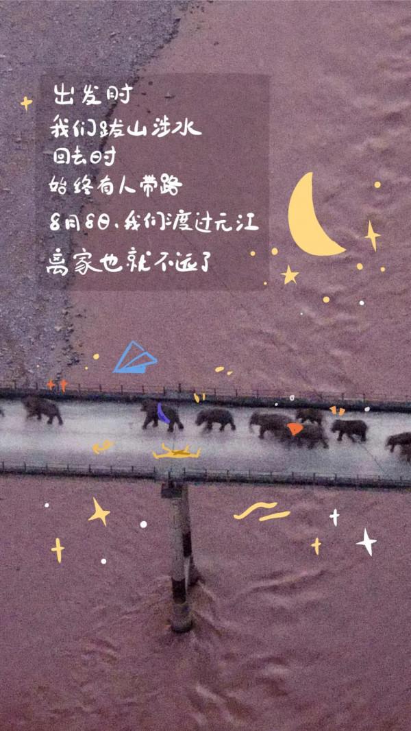 你心心念唸的大象,快要回家了 你心心念唸的大象,快要回家了