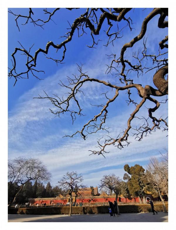 塵封記憶 筒子河 我第一次滑冰的地方