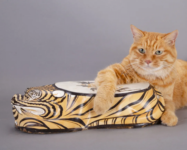 快來數一數，一共幾隻小老虎