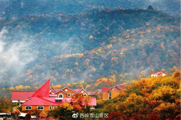 紅葉最佳觀賞期！這些地方全都美成了仙境，趕緊出發