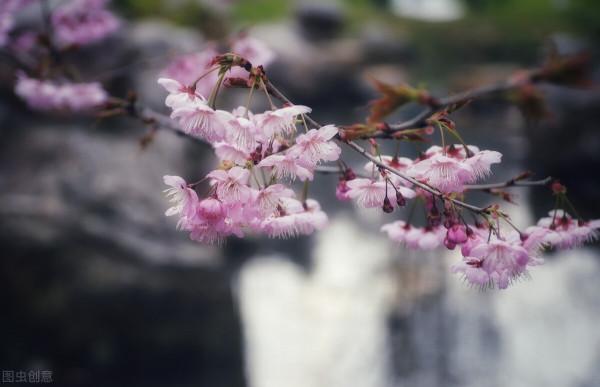 一個人要學會這幾種報答的方式，比請吃飯更靠譜