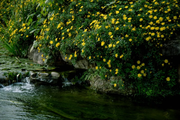 中秋夜，月圓人圓，來場“滋陰”活動——曬月亮