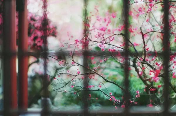 十首最為回味的古詩詞：人生自是有情痴，此恨不關風與月！