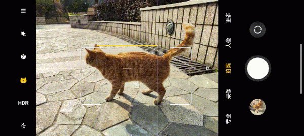 從成像效果圖看小米12Pro