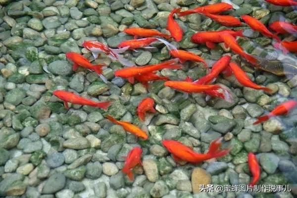 美圖分享，自然美景，可以治癒心靈