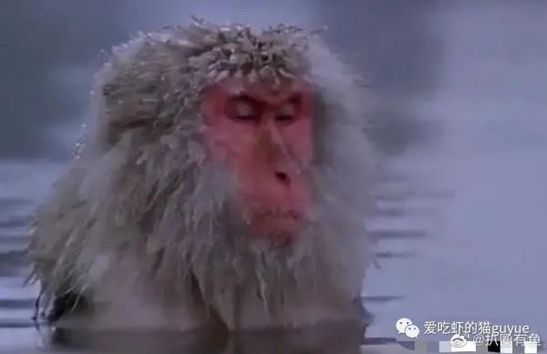 新版《寶蓮燈》真想說一句：別翻拍了，意義不大，觀眾真的累了